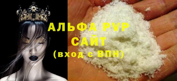 хмурый Белокуриха