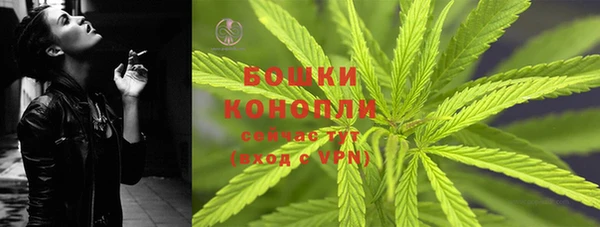 PSILOCYBIN Балабаново