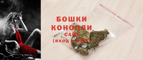 PSILOCYBIN Балабаново