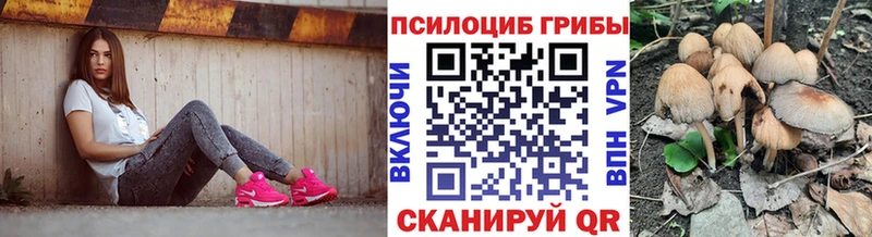 Галлюциногенные грибы Magic Shrooms  Купить  Котельнич 